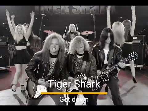 Get Down - Tiger Shark