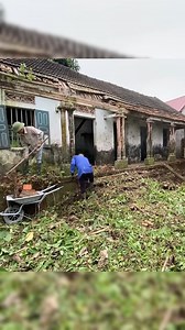 From Overgrown to Outstanding Restoring a Century Old House Step by Step #reels #clean #cleaning #cleanup #viral | CleanUp Crew