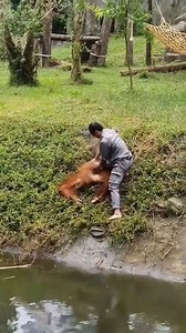 2.5K views · 20 reactions | Physics Theories on Reels | Facebook