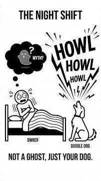 Why Dogs ACTUALLY Howl / Cry At Night (Not Ghosts!) ❌👻#science #dog #facts #myths