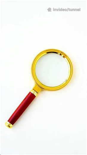 Find Your Life Path Number In Seconds!