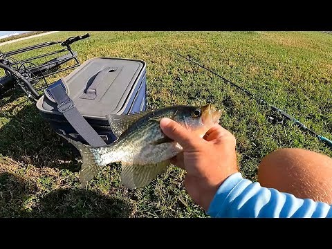 (which is best?) Crappie vs Bluegill vs Bass vs Catfish | Catch & Cook