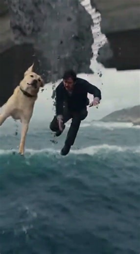 The Very Smart Dog Saved this Driver's Life #animals #dogs #rescue