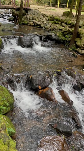 Nature was created by God to be protected and cared for, not to be destroyed and exploited 🌴💦💦💦 #nature #river #crystalhealing | Syarif Nova