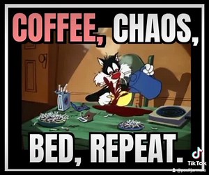 Humor Is Infectious on Reels