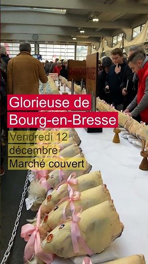 Programme de Bourk en fêtes 2025