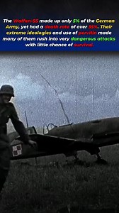 The SS Had The Most Reckless Tactics in Military History | History Theory