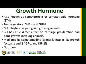 Hormones of Hypothalamus and Adenohypophysis