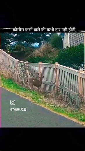 Be confident 💪#mindset #mindfulness