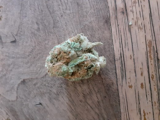 Rainbow | Marijuana Strain Reviews