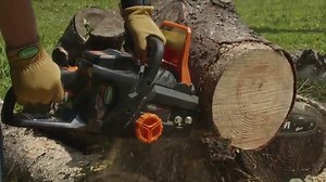 Scotts LCS31662S 16 in. 62-Volt Lithium Ion Cordless Chainsaw, 4Ah Battery and Charger Included