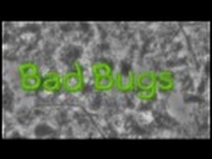 009 BAD BUGS