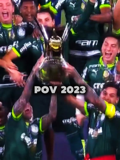 vibes 2023 💚🏆💭 #vibes #palmeiras #viral #brasileirao #brasil🇧🇷