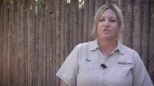 We have a "giant" crush on this big baby that melted hearts in the San Diego Zoo Safari Park's nursery. | San Diego Zoo