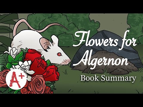 Flowers for Algernon - Book Summary