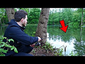 Nachtangeln auf Stör & Wels im Angelparadies Burgdorf