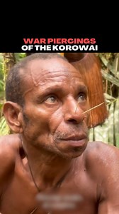 Men of the Korowai where two piercings in their nose when getting ready for war! #culture #tribe #papua #korowai #indigenous #piercings | Unrestricted Borders