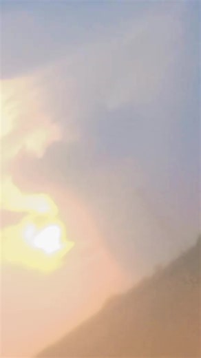 DIY Macrame Plant Hanger: Easy Tutorial