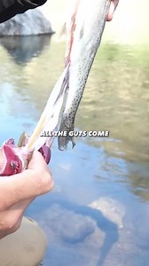 The Fastest Way to Cut and Clean your Fish! 🎣 #fish #cooking #recipe | Fisherman's Life