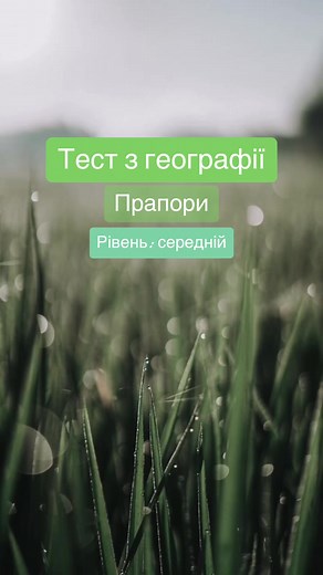 Tutor Service на TikTok