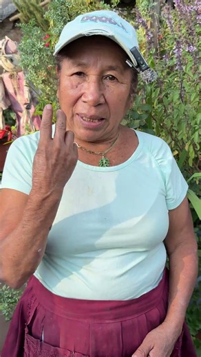 Como tener una planta de camote en casa