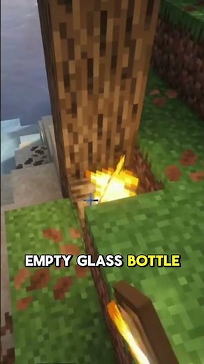 How to get Honeycomb & Honey Bottles in Minecraft! 🍯✂️ #shorts