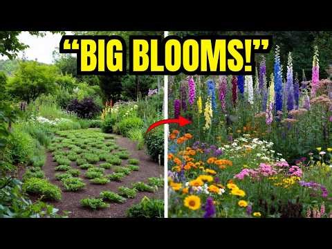 👍Top 7 Tall Perennials That Add Layer And Structure To Your Garden | Big Blooms🌸