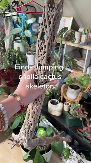 Home Improvement: Working Hard on Watercolor Cactus Art in Arizona