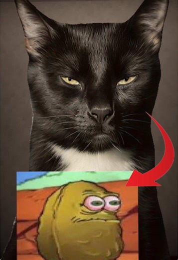 Funny Minecraft Moments with Cats