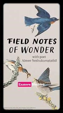 For #NationalPoetryMonth, we're kicking off Field Notes of Wonder with poet Aimee Nezhukumatathil!