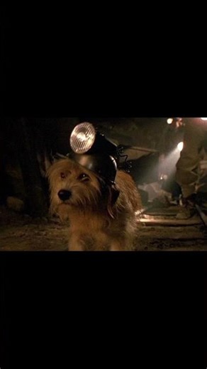 Who is Copernicus (Back to the Future)?