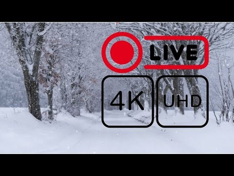 LIVE 4K Snowstorm Cam 🌨️ Peaceful Winter Night | Study • Sleep • Relax