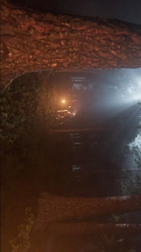 Fiddlesticks is just a fable. A story to scare children… #vfx #cgi #leagueoflegends