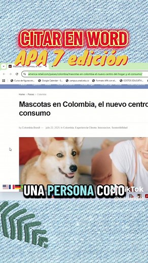 Cita tus fuentes fácilmente en Word con normas APA