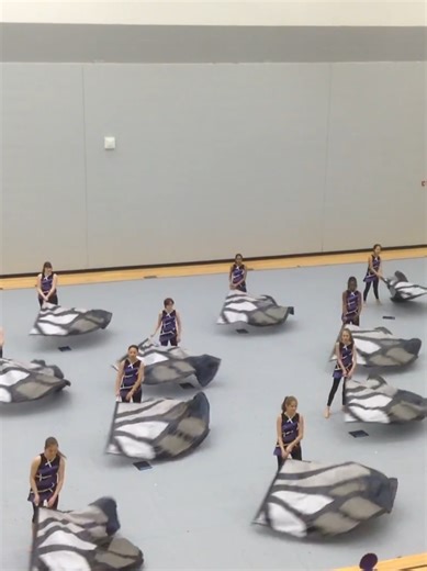 Butterflies in Color Guard Performance