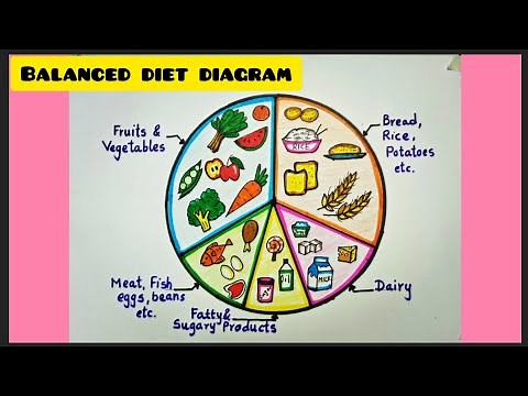 How to draw BALANCED DIET CHART step by step easy for kids