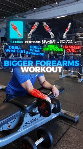 Bigger & Stronger Forearms Workout 👇🏽 All of these movements train the forearms — the difference is which side or function is emphasized based on wrist and elbow position. • Dumbbell Wrist Curl (Underhand) Primarily targets the forearm flexors (inner forearm). These muscles are responsible for wrist flexion (bringing your palm toward your forearm). • Dumbbell Wrist Extension (Overhand) Targets the forearm extensors (top/outside of forearm). These control wrist extension (lifting the back of yo