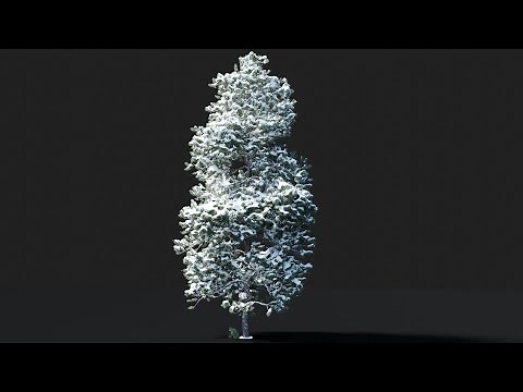 Blender 3D Snowy Tree Tutorial