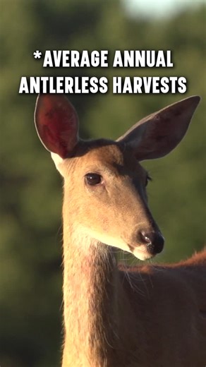 Deer & Deer Hunting | Which one surprised you the most? #Whitetail #DoeHunting | Instagram