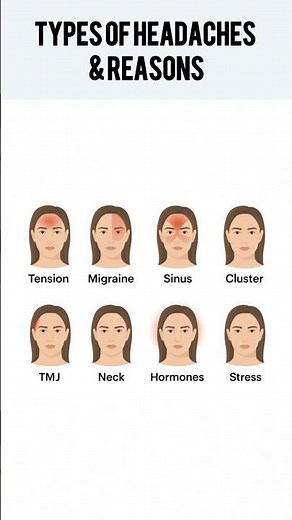 Why Your Head Hurts.