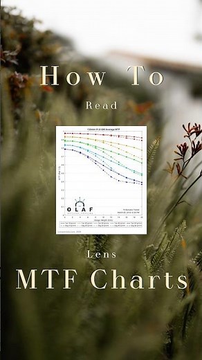 How to Read Lens MTF Charts 📈 📸