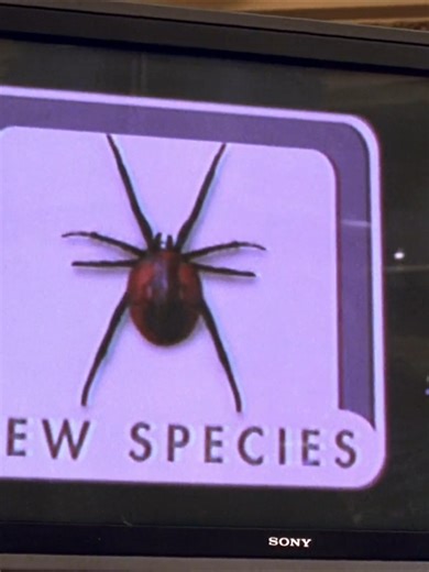 Spider-Man Project Risks: Human Performance Enhancers Review