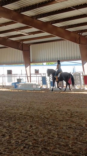 17 reactions | Lessons are available with Den Burdette in dressage and western dressage. Haul ins welcome. School horse available. Beginner to 3rd level. Get back im the groove! Prepare for shows! Improve balance and connection! Gain confidence! Schedule your lessons today call or text Den Burdette 918-752-7367 | Geter Ranch | Facebook