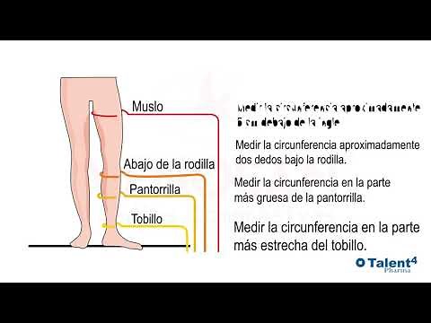 Como medir correctamente las piernas para elegir la talla correcta de medias compresivas Venosan®