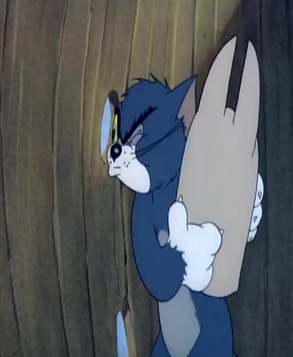 Funny Cartoon Videos Compilation