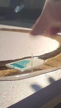 How far can a soap boat go around a circular track? #shorts