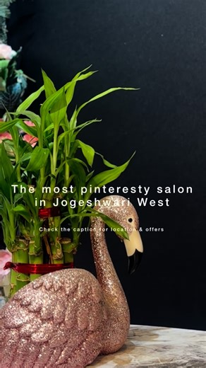 Jogeshwari buzz official on Instagram: "✨ Year-End BOGO Offers at Alizeh Salon✨ Buy 1, Get 1 FREE – because you deserve double the pampering 💕 💅 Buy Pedicure → Get Manicure FREE 💆 Buy Hair Spa → Get Hair Trim FREE 💦Buy Hydra Facial → Get Detan FREE 👩🏻‍🦰 Special Hair Colour Deal! Global + Highlights (Actual Price ₹8,500) → Now only ₹5,999/- FREE Olaplex Add-on. 📍 Limited-time offer | Hurry, book your slot today! Alizeh salon Vaishali nagar Jogeshwari West ☎️ +918169188510 #pinteresty #pin