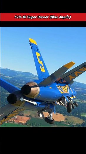 Blue Angels No.5 Deploys Landing Gear in Epic Low Pass!