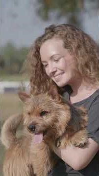 Pro Fetch Tricks in 30 Seconds 🐕💨