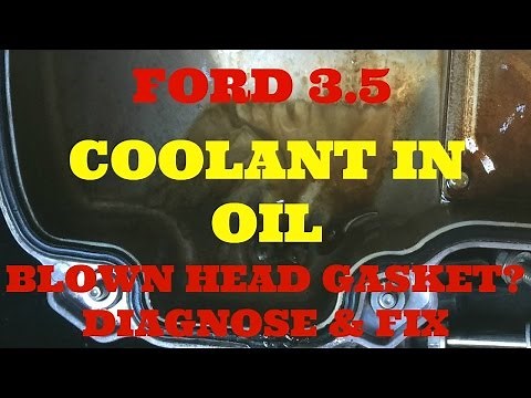 Ford Edge 3.5 Coolant in Oil, Diagnose & fix